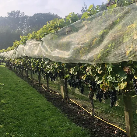 別荘 Hoeve In Het Sterrebos *