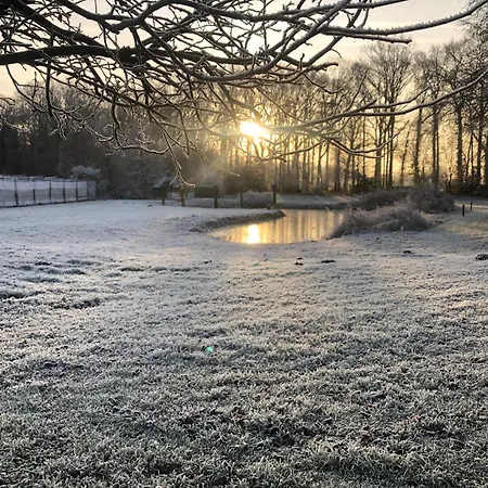 Hoeve In Het Sterrebos Holiday home Empe