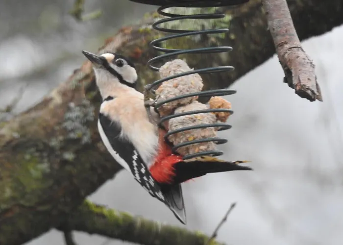 Holiday home Hoeve In Het Sterrebos Empe