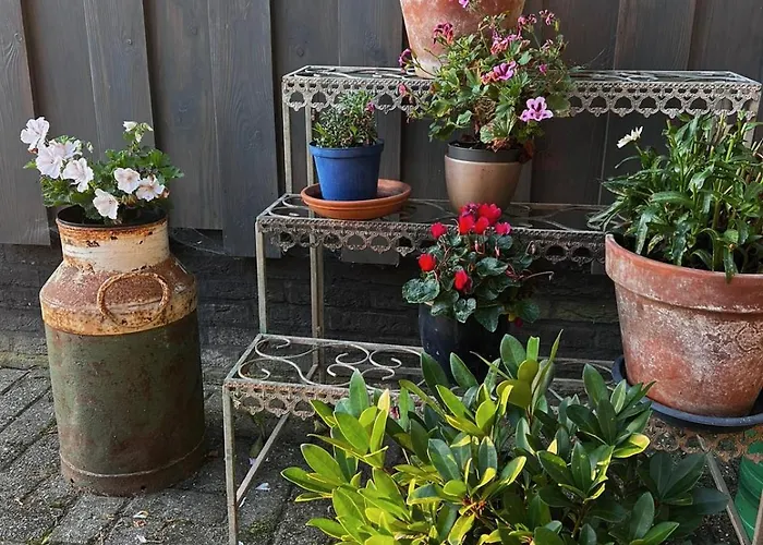 Hoeve In Het Sterrebos Holiday home