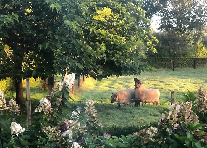 Hoeve In Het Sterrebos Holiday home