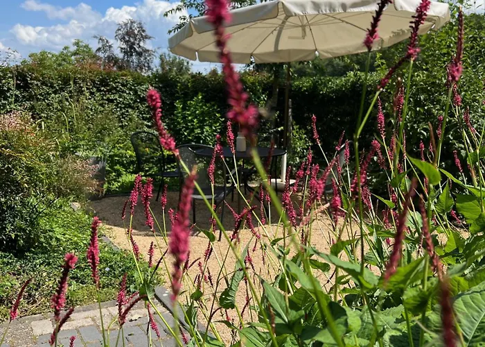 Hoeve In Het Sterrebos *