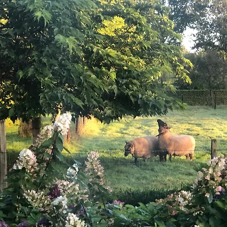 Hoeve In Het Sterrebos Casa vacanze