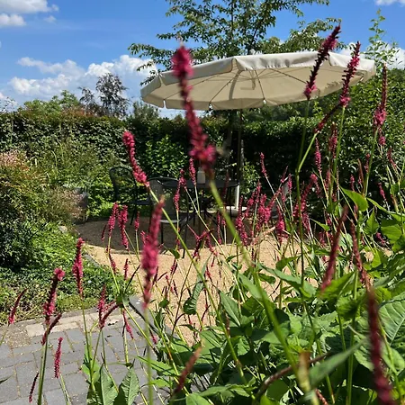 Hoeve In Het Sterrebos *