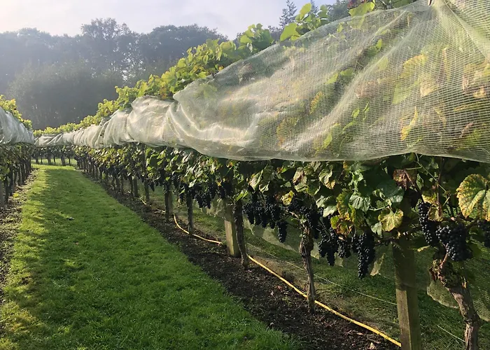 Дом отдыха Hoeve In Het Sterrebos *