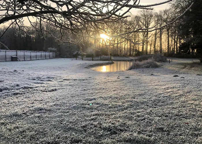 Hoeve In Het Sterrebos Дом отдыха Empe
